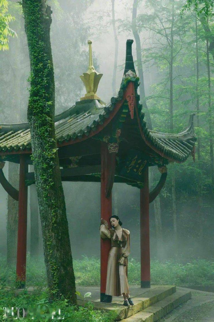 经济学说史